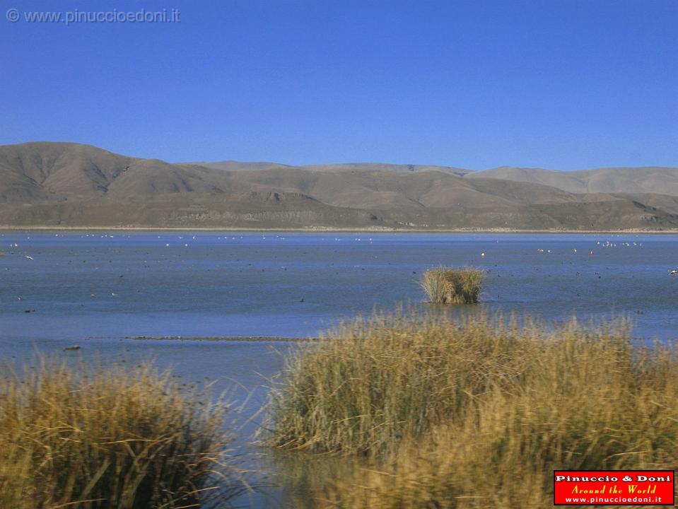 BOLIVIA - Treno Oruro Uyuni - 2.jpg